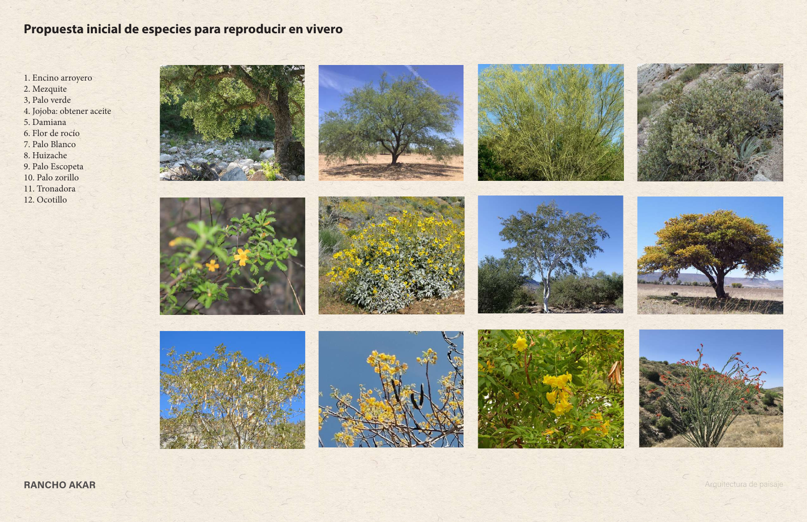 Especies propuestas para el vivero en la presentación de paisaje